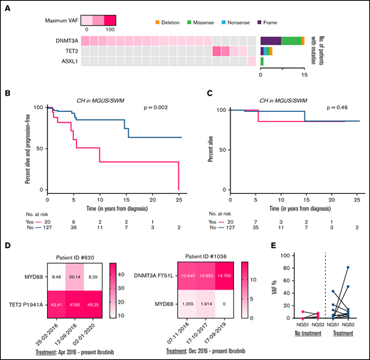CH in patients with IgM MGUS and SWM. (A) Co-mutation plot showing mutations present in all 20 patients with IgM MGUS and patients with SWM: each column represents a single patient. The top row denotes the maximum VAF in each patient, with darker shades of pink indicating higher VAF. The bar graph on the right designates the proportion of the different mutation subtypes for each gene. PFS (B) and OS (C) among patients with IgM MGUS and those with SWM with CH vs those without CH. (D) Representative heat maps for the clonal dynamics of WM-related mutations and DTA mutations in WM. Values depicted in each square represent VAF. (E) Average change in VAF of DTA mutations assessed between consecutive time points, with or without intervening therapy.