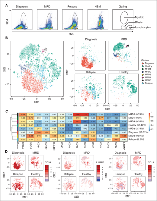 Identification of potential relapse-inducing populations at MRD in a patient with AML. (A) Gating of the main compartments according to CD45 expression and side scatter area (SSC-A) for the merged FCS files from Patient 1. CD45– cells are gated out. (B) tSNE landscape colored by condition for all included samples (left) or per sample (right). (C) Expression of included markers per condition with the MRD-specific clusters separated to identify the subpopulation most likely to have caused relapse. (D) Expression of CD34, IL1RAP, and CD19 on the tSNE landscape per sample. FSC-A, forward scatter area.