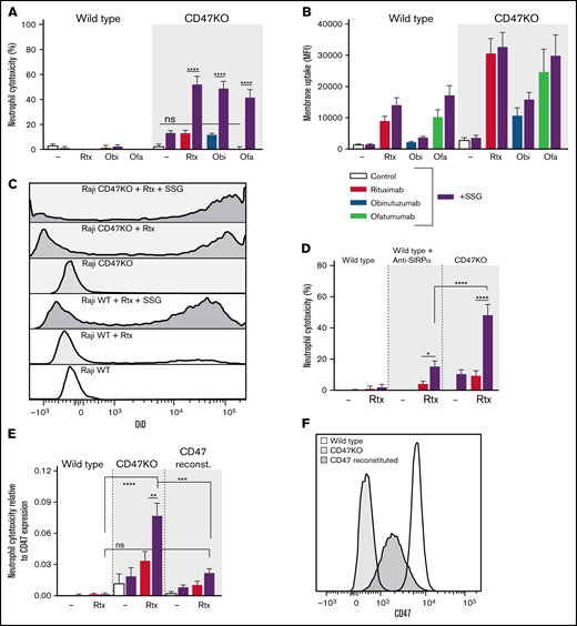 SSG potentiates neutrophil ADCC and overcomes B-cell lymphoma cell resistance toward neutrophil killing. (A-B) Neutrophil ADCC and trogocytosis of wild type and Raji CD47KO cells opsonized with rituximab, obinutuzumab, or ofatumumab in the absence or presence of 100 µM SSG (n = 6-12 donors from 6 independent experiments for ADCC). There were no significant differences between control conditions and opsonized cells in absence of SSG (n = 6-10 donors from 5 independent experiments for trogocytosis). (C) Representative histograms of neutrophil DiD positivity (tumor cell membrane dye) in a trogocytosis experiment with Raji wild type or CD47KO cells opsonized with or without rituximab, in the absence or presence of SSG (dark gray–shaded histograms). (D) Neutrophil ADCC of Raji cells opsonized with or without rituximab in the absence or presence of SSG (purple bars). CD47-SIRPα signaling is inhibited by using Raji CD47KO cells or by blocking neutrophil SIRPα using SIRPα-blocking antibodies (n = 14 donors from 8 independent experiments). (E) Neutrophil ADCC of Raji wild type cells, Raji CD47KO cells, or Raji CD47KO cells with CD47 reconstitution, opsonized with or without rituximab in the absence or presence of SSG. The y-axis depicts the amount of cytotoxicity relative to the expression of CD47 on the Raji cells to highlight the role of CD47 on the tumor cells during ADCC by neutrophils (n = 6 donors from 3 independent experiments). (F) Representative histogram of the CD47 expression of Raji wild type cells, Raji CD47KO cells, or Raji CD47KO cells with CD47 reconstitution. Data are mean ± SEM. *P ≤ .05; **P ≤ .01; ***P ≤ .001; ****P ≤ .0001.