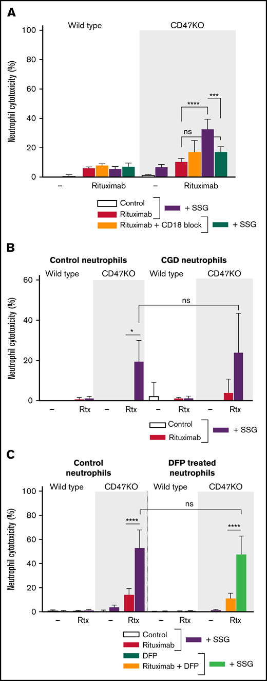 Neutrophil ADCC of B-cell lymphoma cells is dependent on CD11b/CD18 integrins and is independent of ROS and proteases. (A) Neutrophil ADCC of Raji wild type or CD47KO cells opsonized with rituximab in the absence or presence of SSG . Neutrophil CD18 integrin was blocked using anti-CD18 f(ab′)2 fragments (n = 4-6 donors from 3 independent experiments). (B) ADCC toward Raji wild type or CD47KO cells opsonized with rituximab in the absence or presence of SSG by neutrophils from 4 healthy donors (left) or from 3 patients with chronic granulomatous disease (CGD; right), which are unable to produce ROS. Note that ADCC is comparable between these 2 groups. Data shown were obtained from 3 independent experiments. (C) Neutrophil ADCC of Raji wild type or CD47KO cells opsonized with rituximab in the absence or presence of SSG. Neutrophils were treated with DFP which reduces proteolytic activity (n = 6 donors from 3 independent experiments). Data are mean ± SEM. *P ≤ .05; ***P ≤ .001; ****P ≤ .0001.