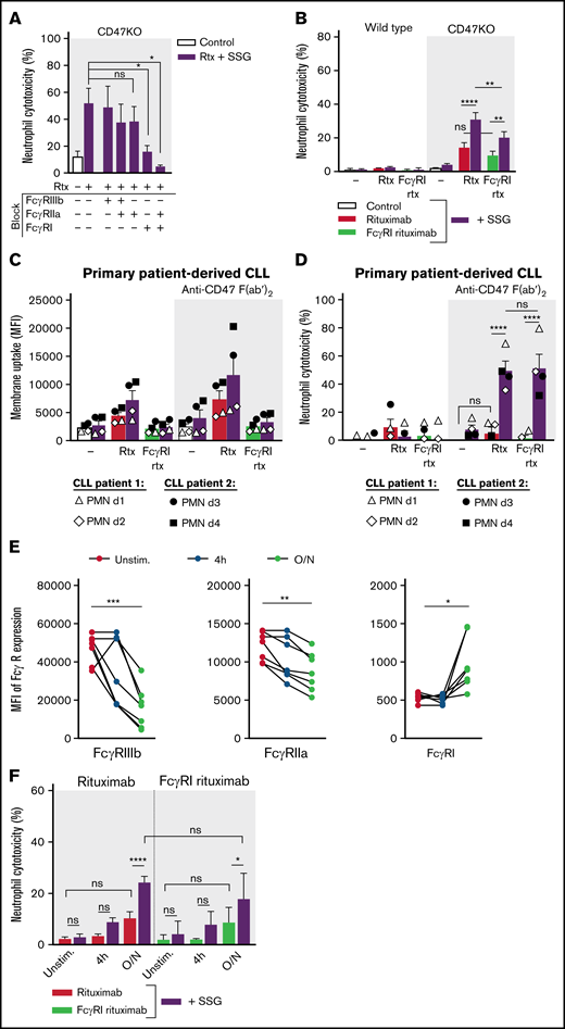 Neutrophil ADCC of B lymphoma cells is mainly dependent on FcγRI. (A) Neutrophil ADCC of Raji CD47KO cells opsonized with rituximab in the presence of SSG. FcγRI, FcγRIIa, FcγRIIIb or a combination thereof (indicated with “+” or “–”) were blocked on neutrophils using blocking f(ab′)2 fragments (n = 4-14 donors from 10 independent experiments). (B) Neutrophil ADCC of Raji wild type or CD47KO cells opsonized with rituximab or with FcγRI-selective rituximab in the absence or presence of SSG (n = 10 FcγRIIa-131HH–donors from 6 independent experiments). (C-D) Neutrophil trogocytosis and ADCC of 2 patient-derived primary CLL cells (patient 1, open symbols; patient 2, closed symbols) by neutrophils from healthy donors (2 allogeneic FcγRIIa-131HH neutrophil donors (d) per patient) with or without SSG. CLL cells were opsonized with rituximab or FcγRI-selective rituximab. CD47-SIRPα signaling was blocked by incubating the CLL cells with anti-CD47 f(ab′)2 fragments. For trogocytosis, SSG did not significantly enhance trogocytosis in the opsonized conditions. (E) Expression of FcγRIIIb, FcγRIIa, and FcγRI on neutrophils during stimulation with G-CSF and IFN-γ (n = 7 donors from 4 experiments). (F) Neutrophil ADCC of Raji CD47KO cells opsonized with rituximab or with FcγRI-selective rituximab in the absence or presence of SSG, by unstimulated (unstim) neutrophils, neutrophils stimulated for 4 hours, or neutrophils stimulated overnight (O/N) with G-CSF and IFN-γ (n = 7 donors from 3 independent experiments). Data are mean ± SEM. *P ≤ .05; **P ≤ .01; ***P ≤ .001; ****P ≤ .0001.