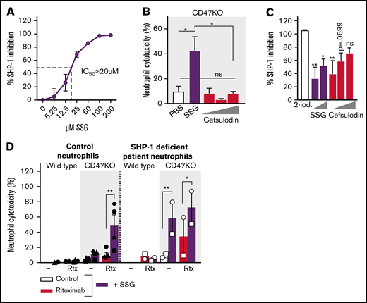 SSG does not potentiate neutrophil ADCC solely through the inhibition of SHP-1. (A) Dose-dependent inhibition of human recombinant SHP-1 by SSG (4 independent experiments were performed in triplicate). (B) Neutrophil ADCC toward Raji CD47KO cells opsonized with rituximab in the absence or presence of SSG or increasing concentrations (1.6, 16, or 80 µM) of cefsulodin (n = 4 donors from 2 independent experiments). (C) Inhibition of human recombinant SHP-1 by 20 µM 2-iodoacetamide (2-iod; maximum inhibition), increasing concentrations (12.5 or 100 µM) of SSG and increasing concentrations (20, 40, or 60 µM) of cefsulodin (6 independent experiments were performed in triplicate). Statistics indicate the comparison between 2-iodoacetamide and the different concentrations of SSG and cefsulodin. (D) Neutrophil ADCC of Raji wild type or CD47KO cells with 4 healthy neutrophil donors (closed symbols, left) and 1 SHP-1–deficient patient on 2 separate occasions (open symbols, right). Raji cells were opsonized with rituximab and neutrophils were incubated with or without SSG. Note that SHP-1–deficient neutrophils show high killing under basal conditions, which is further enhanced with SSG. Data shown is from 2 independent experiments. Data are mean ± SEM. *P ≤ .05; **P ≤ .01. IC50, 50% inhibitory concentration; PBS, phosphate-buffered saline.