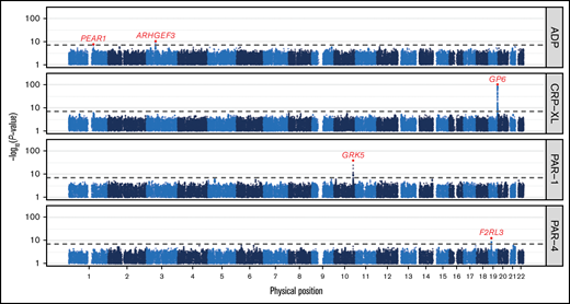 Genome-wide associations with platelet reactivity. Manhattan plot showing the P values of tests for association between genetic variants and each of 4 phenotypes measuring the reactivity of platelets to agonism by ADP, CRP-XL, PAR-1, and PAR-4 in the Cambridge PFC. Each dot corresponds to a genetic variant in the Haplotype Reference Consortium r1.1 reference panel. The position on the x-axis indicates the physical position of the variant; the position on the y-axis indicates the -log10P value of a Wald test for association from a linear mixed-model (on a log scale). Only variants with an imputation INFO score > 0.6 and a P value < .1 are shown. The horizontal dashed line corresponds to the genome-wide significance threshold (5 × 10−8). The red dots correspond to the variants showing the strongest evidence for association in those loci containing significantly associated variants. The red gene names indicate the gene causally mediating each of these associations.