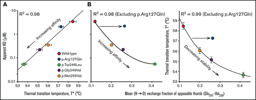 Correlations between binding affinity, thermal stability and local disorder in the opposable thumb region. Panel (A) shows the SPR binding affinity as a function of the thermal transition temperature (T*). Panel (B) correlates the binding affinity (left panel) and T* (right panel) with the average HD exchange fraction (after 1 hour) of the opposable thumb region. While p.Arg127Gln follows the trend in panel (A), it does not in panel (B). This observation demonstrates that p.Arg127Gln enhances the conformational dynamics of the opposable thumb indirectly through allostery while having little effect on the dynamics of local sequence environment near the mutation or the LRR domain.