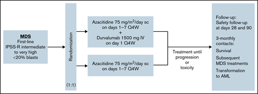 Study design of the HR-MDS cohort in FUSION-AML-001. Randomization and treatment schedule for patients enrolled on the FUSION-AML-001 trial. IV, intravenous; Q4W, every 4 weeks; sc, subcutaneous; 3-monthly, once every 3 months.