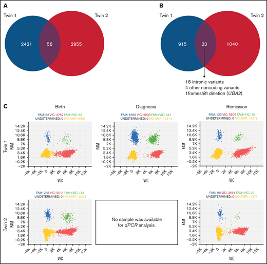 Shared and unique somatic SNVs/indels in twins’ leukemias. (A) All somatic SNVs/indels across the genome. Two thousand, four hundred twenty-one and 2955 unique to Tw1 and Tw2, respectively, and 58 shared. (B) SNVs/indels in protein coding genes. Nine hundred fifteen and 1040 unique to Tw1 and 2, respectively: 23 shared. (C) dPCR detection and quantification of UBA2 deletion (NM_005499.2: c.463_470del; NP_005490.1: p.(Thr156Leufs*2) at birth, diagnosis, and in remission. Diagnostic sample of Tw2 not available for analysis. Clusters of dPCR chip wells positive for wildtype allele (red), mutant allele (blue), wildtype and mutant allele (green), and with no amplification (yellow). UBA2 deletion was detected at birth (both twins), diagnosis (Tw1; Tw2 lacked sample for analysis), and, unexpectedly, also in remission (both twins). Detection limit: 1 in 1000 copies. Images acquired from QuantStudio 3D Analysis Suite Cloud Software, version 3.1.6-PRC-build2 with default parameters.