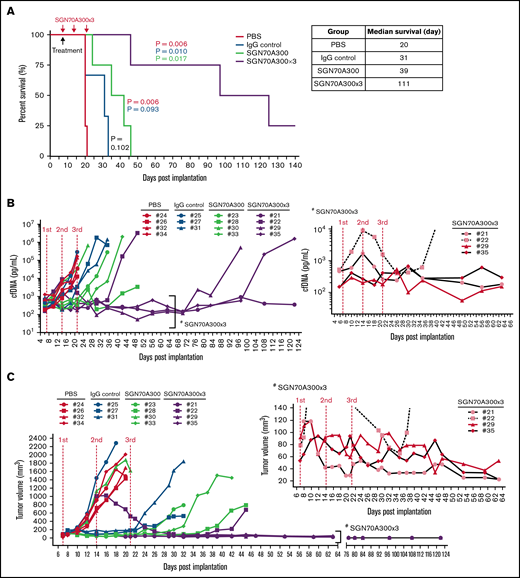 Multiple dosing of SGN-CD70A eradicated established tumors, leading to long-term survival of tumor-bearing PDXs. The survival rate (A), serial measurements of cfDNA concentration (B), and tumor size in individual mice (C) throughout the drug therapy in 4 treatment groups, PBS control, IgG isotype control of SGN-CD70A, and 1 dose vs 3 weekly doses of SGN-CD70A. NSG mice were implanted with PRS-1 primary tumor cells subcutaneously at the right flank on day 0. On day 7, mice were divided into 4 groups and administrated intraperitoneally a single dose of PBS (n = 4), IgG control (n = 3), 300 μg/kg of SGN-CD70A (CD70A300, n = 4), or 3 weekly doses of SGN-CD70A (SGN70A300x3) as indicated. The tumor volume and cfDNA were represented as mean ± SEM and statistically analyzed by an unpaired t test with 2-tailed P value. P < .05 represents as a significant difference. The survival curves were generated by the Kaplan-Meier method and analyzed by the Mantel-Cox test.
