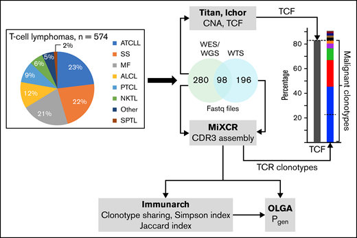 Summary of the methodological approach to TCR analysis in TCLs. The pie chart represents the percentage of sequencing samples collected from different subtypes of TCLs that were analyzed for TCF and the TCR clonotypes. Details for the diagnostic groupings are provided in supplemental Table 2. TCF was estimated on the basis of the chromosomal aberration identified using TitanCNA or IchorCNA. TCR clonotypes were identified using MiXCR. The diversity index (inverse Simpson), clonotype sharing (Jaccard index), and probability of clonotype generation (Pgen) were analyzed using Immunarch and OLGA pipelines, as described in “Methods.” SPTL, subcutaneous panniculitic TCL.