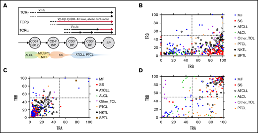 Oligoclonality in TCLs. (A) Schematic presentation of the TCR gene rearrangement during T-cell development. The arrows represent rearrangement on each chromosome mapped to different stages of a normal human thymocyte. The thin arrow for TCRβ symbolizes the 60-40 rule. Predicted time points of the transformation in various subtypes of TCLs are shown at the bottom. (B-C) WES and WGS samples (n = 367) were analyzed to identify the TCRαDNA, TCRβDNA, and TCRγDNA clonotypes. (C) The frequency of the most abundant TCRβDNA clonotype was plotted vs the added frequency of the 2 most frequent TCRγDNA clonotypes or the 2 most abundant TCRαDNA clonotypes for each sample. (D) A similar correlation plot of the frequency of dominant TCRβRNA clonotypes vs the dominant TCRαRNA clonotypes (data from 196 WTS samples). DP, double positive; ISP, immature single positive; SP, single positive.