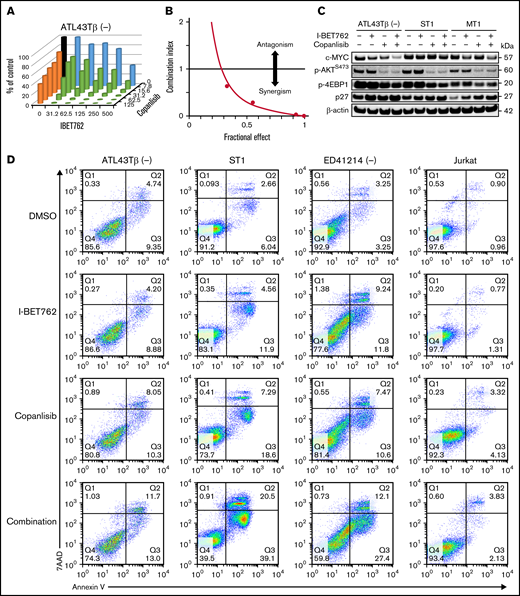 I-BET762 shows a synergistic effect with copanlisib by suppressing ATL proliferation and downregulating the expression of c-MYC. (A) The combined effects of I-BET762 with copanlisib inhibitors on ATL43Tβ (-) cell line incubated for 72 hours in the presence of 5 increasing concentrations of I-BET762 (31.2 to 500 nM, blue), copanlisib (7.8 to 125 nM, orange), or their combinations (green). A thymidine incorporation assay was performed, and the percentages of control were calculated from the counts per minute (CPM) of samples with drugs divided by the CPM of samples with no inhibitor × 100 (black bar). A representative figure of 3 independent experiments is shown. (B) CI plot of I-BET762 and copanlisib combination in ATL43Tβ (-) cell line. CI dots represent 5 combination data points, CI <1 was considered synergism. (C) Immunoblot analysis of c-MYC, p-AKTS473, p-4EBP1 after 1 hour of incubation with either 1 μM of I-BET762 or copanlisib or in combination. For p27 expression, cells were incubated for 24 hours prior to western blot analysis. (D) Induction of cell apoptosis by I-BET762 and copanlisib combination. ATL43Tβ (-), ST1, ED41214 (-), and Jurkat cells were treated with either DMSO, 1 μM of I-BET762, or copanlisib or in combination for 48 hours, and the cell apoptosis was measured with annexin V staining and analyzed by flow cytometry. (E) The bar graphs represent the percentages of early apoptotic cells (annexin V+7AAD−, lower right quadrant) and (F) late apoptosis (annexin V+7AAD+, upper right quadrant), n = 3. (G,H) Flow cytometric analysis of active caspase3 and cleaved-PARP in ATL43Tβ (-), ST1, and MT1 cell lines. The cells were treated with inhibitors for 48 hours and stained for the double-positive cells of the percentage of caspase 3+cleaved-PARP+ represented in the bar graphs (n = 3). Human fibroblast cells were used as a control. Three biological experiments were performed, and values are presented as mean ± SEM. One-way ANOVA was used to determine statistical differences. *P < .05, **P < .01, ***P < .001, ****P < .0001.