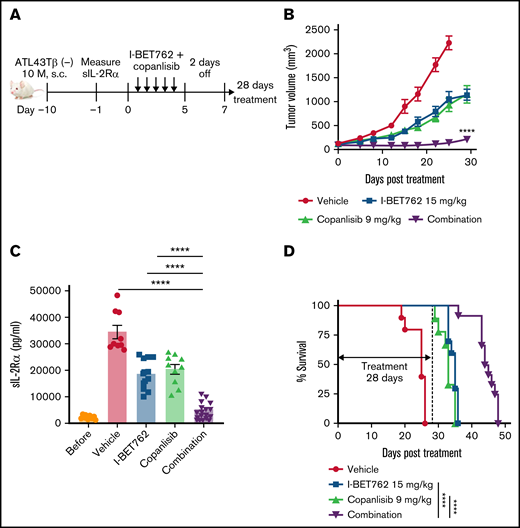 I-BET762 acts synergistically with copanlisib in vivo to inhibit ATL growth in xenograft mice-bearing ATL tumors. (A) Therapeutic effects of I-BET762 and copanlisib combination in xenograft mice-bearing ATL43Tβ (-) cell line. Ten million cells were subcutaneously implanted into NSG mice. The therapy was started when average tumor volumes reached approximately 100 mm3, which was 10 days after tumor inoculation. I-BET762 was given orally at a dose of 15 mg/kg, and copanlisib was administered via intraperitoneal injection at a dose of 9 mg/kg 5 days on and 2 days off for 28 days. The vehicle group received 15% solutol dissolved in water. (B) Average tumor volumes during the therapeutic time course were measured twice weekly until the tumor volume reached 2000 mm3. (C) Serum levels of human sIL-2Rα were measured on day 28 after treatment with a human CD25/IL-2Rα ELISA assay. (D) Kaplan-Meier survival curves illustrate the survival of mice that received single therapy or in combination. Data were pooled from 2 independent experiments and expressed as a mean ± SEM (n = 9 to 12). One-way ANOVA and log-rank (Mantel-Cox) test were performed to determine statistical differences. ****P < .0001.