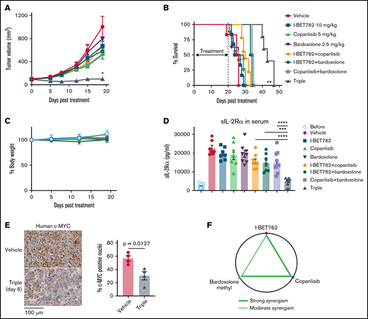 Triple combination manifests synergistically in vivo in xenograft mice-bearing ATL tumors. (A) The triple combination prolonged the survival of xenograft mice-bearing ATL43Tβ (-) tumors. Ten days after tumor inoculation, I-BET762 was given orally at a dose of 10 mg/kg, and copanlisib and bardoxolone methyl were administered via intraperitoneal injection at a dose of 5 mg/kg and 2.5 mg/kg, respectively, 3 times per week for 20 days. The vehicle group received a 15% solutol dissolved in water. Average tumor volumes during the therapeutic time course were measured twice weekly until the tumor volume reached 2000 mm3 (n = 7 to 10). (B) Kaplan-Meier curves illustrate the survival of mice that received single therapy or double or triple combinations. (C) Percentages of mouse body weight change from day 0 until day 20 after treatment. (D) Serum levels of human sIL-2Rα were measured on day 20 after treatment with an ELISA assay (n = 7 to 10 mice per group). Data were pooled from 2 independent experiments and expressed as mean ± SEM. One-way ANOVA and log-rank (Mantel-Cox) tests were performed to determine statistical differences. (E) Representative images of human-c-MYC with IHC staining of tumor isolated from the mice after treatment with vehicle or the triple combination for 5 days. Bar graphs depicted the percentages of c-MYC positive nuclei of tumor tissues (n = 4 mice per group), unpaired Student t test was used to determine statistical differences. (F) Diagram showing the interaction of the 3 drugs combination generated by the Chou-Talalay method: the heavy line is indicating a strong synergism between I-BET762 with copanlisib and copanlisib with bardoxolone methyl. The thin line indicates moderate synergism between I-BET762 and bardoxolone methyl. *P < .05, **P < .01, ***P < .001, ****P < .0001.