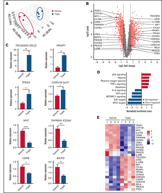 Triple combination downregulates c-MYC while upregulating GILZ in vivo. (A) Principal component analysis of gene expression between the vehicle (blue) and triple combination (red). ATL43Tβ (-) tumor isolated from NSG mice on day 5 after treatment with I-BET762 (10 mg/kg), copanlisib (5 mg/kg), and bardoxolone methyl (2.5 mg/kg) (n = 4 per group). (B) Volcano plot showing fold changes (fold change >1.5 and P < .05) of differentially expressed gene-set between triple combination vs vehicle. (C) Quantitative real-time PCR analysis of TSCD22D3 (GILZ), PIK3IP1, TP53I3, MYC, TNFRSF8 (CD30), CDK6, and BATF3 transcripts (n = 3 to 4). (D) Hallmark gene set enrichment analysis pathways in ATL43Tβ (-) tumor isolated from NSG mice. (E) Tumor-associated genes depicted on heatmap analysis. Unpaired Student t test was used for statistical analysis. *P < .05, **P < .01, ****P < .0001.