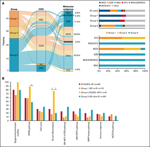 Molecular subgroup prediction and recurrent mutated pathways in DLBCL-AE. (A) Alluvial plot shows the frequency and relationship between groups, COO classification according to LYMPH2Cx, and/or HTG and molecular subgroup prediction according to LymphGen tool12 of 46 cases of DLBCL-AE. The bars indicate the molecular predicted subgroup in all cases and in each genetic group identified; 57% of all cases were assigned to a specific molecular subgroup. (B) Recurrent mutated pathways22 in 46 cases of DLBCL-AE. Genes included in each pathway are indicated in supplemental Table 1. Bar graph shows the total number of mutated cases for each pathway. Asterisk represents significant mutated pathways. AE, aberrant expressor CD10+BCL6+MUM1+; R, rearrangement.