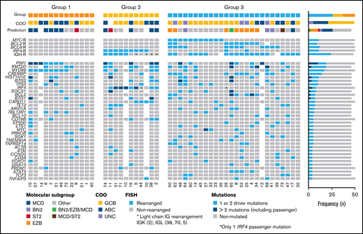 Overview of 50 cases of DLBCL with aberrant coexpression of CD10, BCL6, and MUM1 clustered in 3 groups. Oncoprint includes FISH results, molecular subgroup prediction according to LymphGen tool, COO classification according to Lymph2Cx, and/or HTG and frequently mutated genes (>3 cases). Each column of the plot represents 1 TP case and each line is a specific analysis. On the right side of the figure, the frequency of the particular result of the analysis is shown.