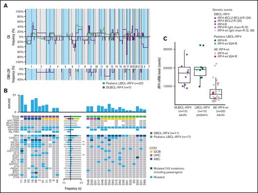 Comparison of CN profile and genetic features of adult and pediatric LBCL-IRF4 cases. (A) Comparative plot of CN and CNN-LOH between 7 LBCL-IRF4 cases in adults and 20 LBCL-IRF4 cases in the pediatric population. No significantly different regions were identified. (B) GEP and mutational comparison between LBCL-IRF4 in adults (n = 11) and previously published profiles in children (n = 17) showed ABC COO more often (P = .05) in adults, with higher mutational load (10.6 vs 4.7 mutations/case; Wilcoxon test, P = .004) and higher frequency of KMT2D, MYD88, and BTG2 (P < .05, marked with asterisk). (C) IRF4 mRNA expression levels obtained from the IRF4_NM_002460.1 probe on the Lymph2Cx assay. IRF4 mRNA levels in LBCL-IRF4 in children and adults was similar but higher when compared with DLBCL-AE without IRF4 rearrangement (17 570 vs 6948; Wilcoxon test, P ≤ .01). AE, aberrant expressor CD10+BCL6+MUM1+; R, rearrangement; wt, wild-type.