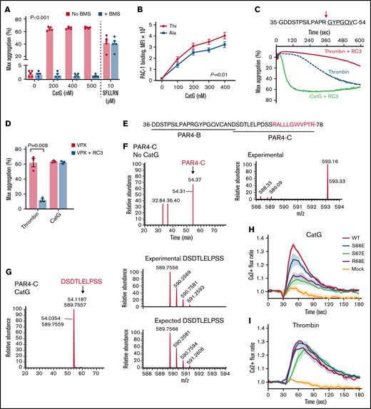 Neutrophil cathepsin G cleaves PAR4 at Ser67-Arg68 to induce platelet aggregation. (A) Washed platelets were treated with varying concentrations of CatG in the presence or absence of the PAR4 inhibitor, BMS-986120 (400 nM BMS; n = 5), and maximum(max)platelet aggregation (percent ± SEM) recorded. The PAR1 activation peptide (SFLLRN; 10 μM) served as a negative control (n = 5) for PAR4 inhibition. (B) Washed platelets were stimulated with increasing concentrations of CatG, and platelet activation was measured by PAC-1 binding (Ala: n = 7; Thr: n = 7) and displayed as MFI (mean ± SEM). (C) PAR4 amino acid sequence targeted by RC3 monoclonal antibody shown above. The underline represents the tethered ligand generated by thrombin. The arrow represents the location of the canonical thrombin cleavage site. All aggregation studies were performed with PAR1 blockade using 100 nM vorapaxar. Representative tracing of washed platelets treated with 0.25 U/mL thrombin or 200 nM CatG in the presence or absence of RC3. (D) Quantification of maximum (max) platelet aggregation (mean percent ± SEM) (n = 3 different subjects). (E) PAR4-B and PAR4-C peptide sequences used in CatG proteolysis analysis by LC-MS/MS. Red sequence indicates novel tethered ligand generated by CatG. (F) LC-MS/MS performed on PAR4-C in the absence of CatG. Time of flight analysis showed an experimental peak with the correct mass (m) over charge (z) ratio. (G) LC-MS/MS analysis performed on PAR4-C after incubation with 400 nM CatG at 37°C for 15 minutes. Time of flight analysis observed a peak with the correct m/z ratio of a fragment containing the amino acids DSDTLELPSS (the last residue is Ser67), indicating CatG cleaved PAR4-C between Ser67 and Arg68. For reference, the expected m/z ratio of DSDTLELPSS is shown below. (H) Calcium mobilization of WT, mutated PAR4, or empty vector (mock) expressed in HEK293T/17 cells treated with or without CatG (2.5 µM) in the presence of PAR1 blockade with 100 nM vorapaxar. (I) WT, mutated PAR4, or empty vector (mock) were expressed in HEK293T/17 cells and treated with thrombin (1.5 U/mL) in the presence of 100 nM vorapaxar. Solid thick lines and thin vertical lines are means and SEMs, respectively. n = 4 independent experiments performed in duplicate in panels H-I.