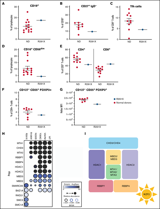 Aberrant immune phenotype of the index patient and interactome in the patient cohort. (A-F) Graphs showing the frequency of B cells (CD3−CD19+) within lymphocytes (A) and class-switched (CD27+IgD−) B cells within CD3−CD19+ cells (B). (C) Tfh cells (CXCR5+CD45RA−) within CD3+CD4+ cells. (D) NK cells (CD16+CD56dim) within lymphocytes. (E) CD4+ and CD8+ cells within total (CD3+) T cells. (F) Proportion of Treg cells (CD127−CD25+FOXP3+) within CD3+CD4+ cells in patients and controls. (G) HELIOS mean fluorescence intensity (MFI) within CD127−CD25+FOXP3+ Treg cells. The Helios antibody used recognizes all Helios variants. (H) Dot plot representation of high-confidence Biotin Identification interactors that are known components of the nucleosome remodeling histone deacetylase (NuRD) complex of wild-type (WT) and mutant HELIOS. Dot size indicates relative abundance, dot fill color indicates average spectral count, and dot border color indicates statistical significance. (I) Schematic description of the NuRD complex. BFDR, Bayesian false discovery rate; ND, normal donor.