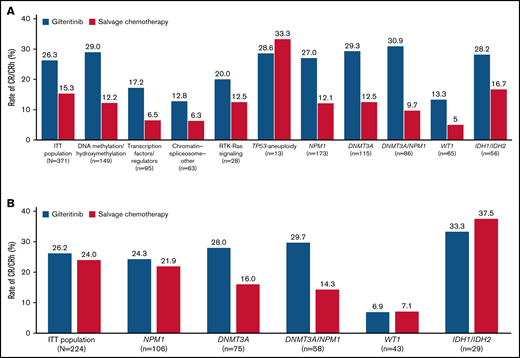 Response rates across gene subgroups. (A) Rates of CR/CRh. (B) Rates of CR/CRh in patients eligible for high-intensity chemotherapy. ITT, intention-to-treat.