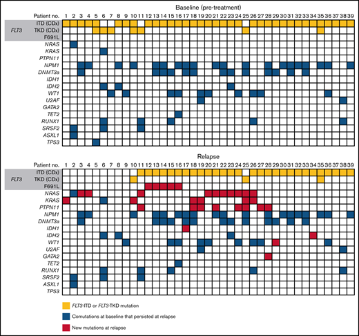 Mutations detected at baseline and at relapse in patients who relapsed on gilteritinib.