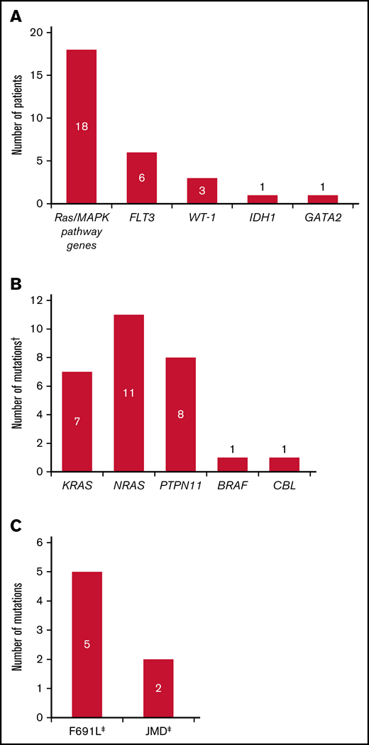 Mutation profile of patients who relapsed on gilteritinib therapy. (A) New mutations at relapse. (B) New Ras/MAPK gene mutations at relapse. (C) New FLT3 mutations at relapse. Analyses were restricted to patients who had blood or bone marrow samples available at both baseline and at relapse. †Some patients had mutations in more than 1 Ras/MAPK pathway gene. ‡One patient acquired a FLT3 F691L gatekeeper mutation as well as a JMD point mutation at relapse.