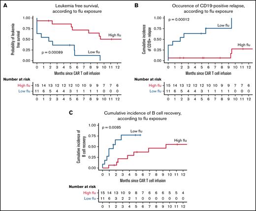Cumulative fludarabine AUCT0−∞ <14 mg*h/L associates with worse outcome. (A-C) Kaplan Meier plots of LFS and the occurrence of CD19-positive relapse and B-cell recovery from the day of CAR T-cell infusion stratified by cumulative fludarabine AUCT0−∞ of 14 mg*h/L. Groups were compared using the log-rank test. P values < .05 were considered statistically significant.