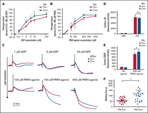 Effects of platelet SHARPIN deletion on platelet fibrinogen binding, aggregation, and tail bleeding times. (A-B) Flow cytometry of fibrinogen binding to agonist-stimulated platelets. Washed platelets were prepared from blood drawn from SHARPINfl/fl Pf4-Cre− and SHARPINfl/fl Pf4-Cre+ mice and incubated for 30 minutes with Alexa-647–conjugated fibrinogen and indicated concentrations of platelet agonists (A) ADP or (B) PAR4 agonist peptide. Results are expressed as specific fibrinogen binding, as described in Methods. Data are from 5 experiments with ADP and 4 with PAR4 agonist peptide. Asterisks indicate statistical significance determined by Student t tests comparing fibrinogen bound at specific concentrations. Analysis of variance (ANOVA) analysis comparing bound fibrinogen at all input PAR4 concentrations attained statistical significance (*P < .05). (C) Representative platelet aggregation tracings from light transmission platelet aggregometry. SHARPINfl/fl GPIbα-Cre mouse platelet-rich plasma was diluted 1:2 with Walsh buffer in a glass cuvette warmed to 37°C in a Chronolog aggregometer (Havertown, PA), and the platelets were stimulated with the agonists indicated. Results are representative of at least 3 experiments. (D) αIIb surface expression was determined on platelets prepared (as in A-B) and compared with nonspecific IgG binding (n = 8), n.s., not significant. (E) FITC anti-CD62P binding to unstimulated or PAR 4 agonist peptide-stimulated platelets (n = 3). *P < .05; **P < .01). (F) Tail bleeding times were performed as described in Methods. Data represent results from SHARPINfl/fl Pf4-Cre− mice (n = 19) and SHARPINfl/fl Cre+ mice (n = 21). The time to arrest of bleeding is shown. **P = .01.