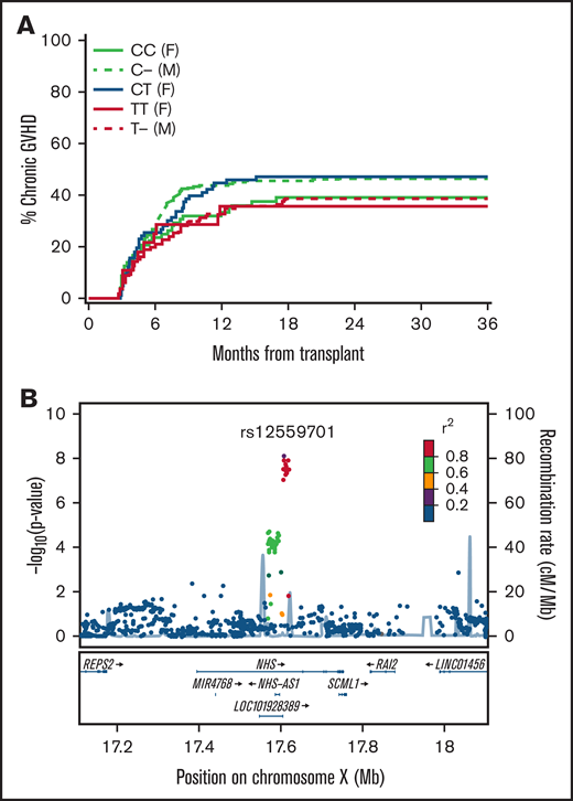 Recipient genotypes of rs12559701 are associated with the risk of cGVHD in the HLA-10/10-matched sibling cohort. (A) Cumulative incidence of cGVHD according to recipient rs125597901 genotypes and gender in the replication cohort. (B) Locus-zoom plot shows -log10 (P values) for association with cGVHD in the combined discovery and replication cohorts as a function of position in a 0.5 Mb region on either side of rs12559701 on chromosome X. Correlation coefficient r2 values for linkage disequilibrium with rs12559701 are coded according to the inset. Genes within this region are displayed in the lower panel.