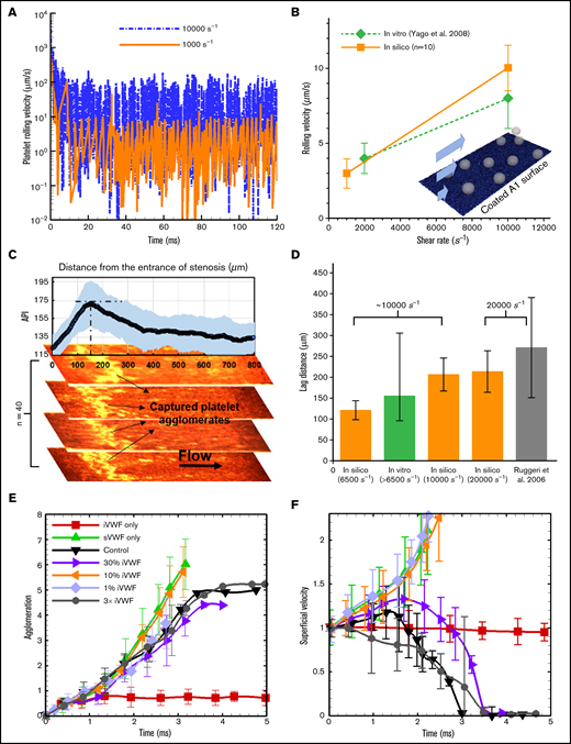 Agglomeration and capture define a lag distance in SIPA with different dependences on sVWF and iVWF. (A) The computed rolling velocity of a single platelet on a VWF-A1–coated surface under 2 shear rates. (B) The averaged rolling velocity (n = 10) compares favorably with existing in vitro measurements. (C) The capture of platelet agglomerates occurs after a lag distance of around 150 μm in our thrombosis-on-a-chip device. The plot shows the API (n = 40) vs the distance from the entrance of the stenotic section, where the peak API denotes the location that most of the aggregates appear. The snapshots show representative occluded channels; the bright color denotes the captured platelet agglomerates. Flow is from left to right. (D) The lag distance of platelet agglomerates calculated from our in silico model compared against those observed in our and Ruggeri’s in vitro settings. The initial WSR of our in vitro setting is 6500 s−1, which would increase as the channel occludes.3 The WSR of the experiment setting by Ruggeri et al.13 is ∼20 000 s−1. Three WSRs, 6500, 10 000, and 20 000 s−1, were simulated, where the VWF/platelet conditions are the same as the experiment. Each in silico data (mean and SD) is based 6 runs with different VWF lengths (changing from 1.6 to 6.4 μm). The lag distance (mean and SD) from Ruggeri et al is estimated from the dispersed number of platelet aggregates shown in Figure 2A taken after 7 s of whole blood perfusion. API of 175 and above is used to quantify the thrombus location. (E) The agglomeration level plotted against time. Agglomeration depends on sVWF but is insensitive to the presence of iVWF. (F) The superficial velocity (normalized by volume-averaged fluid velocity of ∼1.2 cm/s) plotted against time. The capture of the agglomerate requires the presence of iVWF, although excessive iVWF level does not shorten the lag distance. For panels E and F, a 6× normal sVWF concentration was used to obtain a faster capture event.