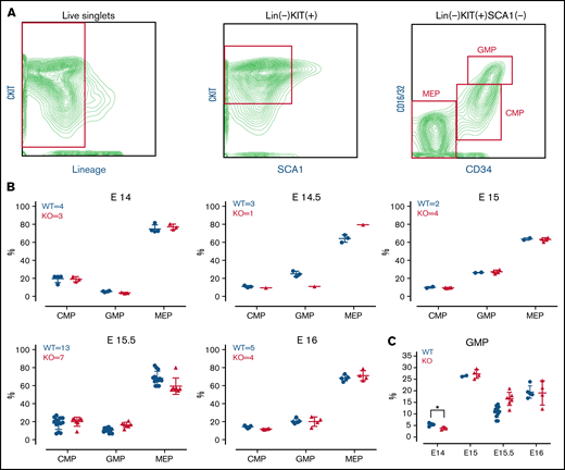 TAFAZZIN is dispensable for fetal liver myelopoiesis. (A) Flow cytometry gating strategy for fetal liver myeloid progenitor populations. Common myeloid progenitors (CMPs), megakaryocyte-erythrocyte progenitors (MEPs), and granulocyte-macrophage progenitors (GMPs) were identified based on CKIT, SCA1, CD16/32, and CD34 staining. (B) Myeloid progenitors were enumerated in the WT or TAFAZZIN-KO fetal livers harvested at embryonic days 14, 14.5, 15, 15.5, and 16. The numbers of fetal livers included in the analysis is indicated. (C) A focus on the frequency of GMPs, combined from the other panels, within the fetal livers of WT or TAFAZZIN-KO embryos shows as significant difference only at E14. Error bars indicate the mean ± SD. t tests were performed. *P < .05. Other results are not statistically significant.