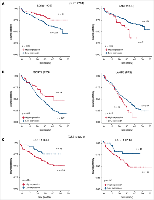 Survival analysis with SORT1 and LAMP2 expression profiles in clinical MM. (A-B) Kaplan-Meier plots with SORT1 and LAMP2 expression profiles in GSE19784 data sets using end points of OS status (A) and PFS status (B). Low expression of SORT1 correlated to poor prognosis with OS (high, n = 54; low, n = 228) and PFS (high, n = 33; low, n = 247) end points. High expression of LAMP2 correlated to poor prognosis with OS (high, n = 31; low, n = 251) and PFS (high, n = 43; low, n = 237) end points. (C) Kaplan-Meier plots with SORT1 expression profiles in GSE136324 data sets using end points of OS status (left panel) and PFS status (right panel). High expression of SORT1 correlated to poor prognosis with OS (high, n = 153; low, n = 48) and PFS (high, n = 153; low, n = 48) end points.