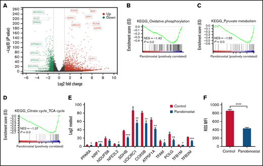 Mitochondrial activity was ablated by panobinostat. (A) Volcano plot showing differentially expressed genes in the Nalm6 cell line treated with 10 nM panobinostat vs control for 24 hours (P < .05, Log fold change >1). (B-C) Enrichment score plots from GSEA using RNA-seq data from Nalm6 treated with 10 nM panobinostat vs control. (E) Relative level of mitochondrial related genes expression in Nalm6 treated with 10 nM panobinostat vs control for 24 hours. (F) Quantitative of ROS after staining with DCFH-DA in Nalm6 treated with 10 nM panobinostat vs CON for 24 hours. MFI, mean fluorescence intensity; NES, normalized enrichment score. Data represent mean ± SD (n = 3). Data with statistical significance are as indicated: *P < .05, **P < .01, ***P < .005, ****P < .001.