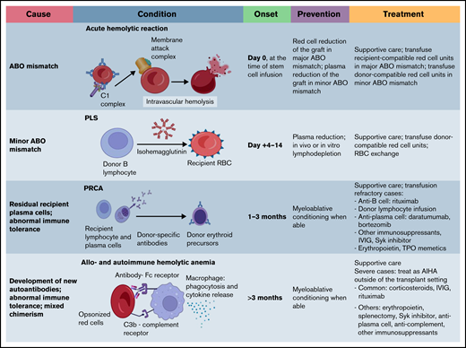 General approach for posttransplantation immune-mediated hemolysis. The graph outlines underlying mechanisms of posttransplantation hemolysis, timing posttransplantation, preventive methods, and treatment strategies. Note there is no consensus or guideline on how to manage posttransplantation immune-mediated anemia. The management approaches listed are based on expert opinions and available literature. AIHA, autoimmune hemolytic anemia; IVIG, IV immunoglobulin; TPO, thrombopoietin.