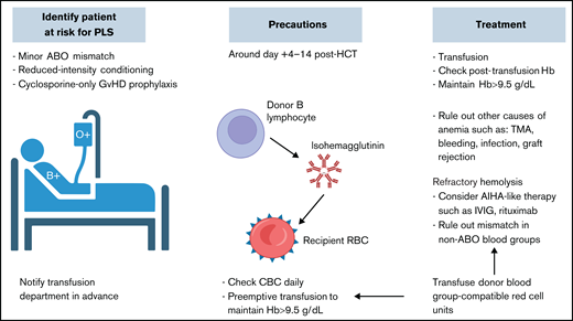 PLS. Proactive approach with identifying patients at risk before transplantation, alerting the blood bank service, conducting frequent count monitoring, and providing transfusion support in the first 2 weeks posttransplantation is key for better clinical outcomes. Hb, hemoglobin; IVIG, IV immunoglobulin; TMA, thrombotic microangiopathy.