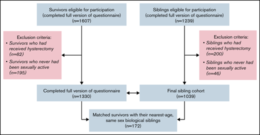 BMTS sibling and survivor participation flow diagram.