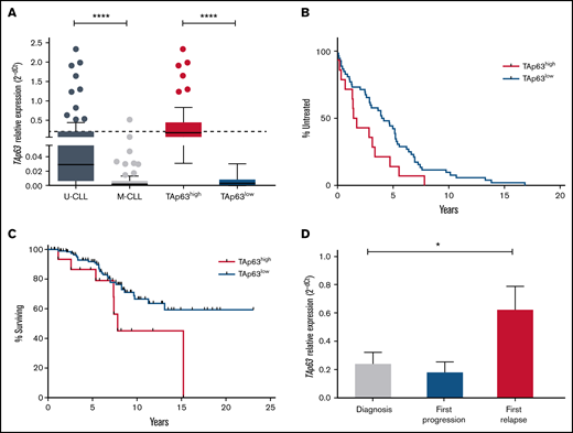 Elevated levels of TAp63 are associated with adverse clinical course and chemoresistance in CLL. (A) TAp63 mRNA expression levels in different subgroups of CLL patients. TAp63 mRNA expression is significantly higher in U-CLL (n = 89) compared with M-CLL (n = 77), and the same pattern is observed between TAp63high (n = 49) and TAp63low (n = 117) cases. (B-C) Kaplan Meier curves for time to first treatment (TTFT) and overall survival (OS). TAp63high CLL patients exhibit shorter TTFT (B) (P = .03) (TAp63highmedian TTFT, 1.58 years; TAp63lowmedian TTFT, 4.07) and shorter OS (C) (P = .04) (TAp63highmedian OS, 7.825 years; TAp63lowmedian OS, undefined due to the large number of censored cases) compared with TAp63low cases. (D) TAp63 mRNA expression levels over the disease course. CLL patients at disease express higher TAp63 mRNA levels compared with the timepoint of diagnosis (FD, 3.47; P = .02). *P ≤ .05, ****P ≤ .0001.