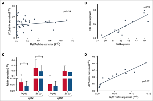 TAp63 and BCL2 expression profiles are correlated at both the protein and the mRNA level. (A) Scatter plot for correlation in mRNA level in 56 U-CLL cases before treatment showing a modest but statistically significant correlation between TAp63 and BCL2 (ρ = 0.31, P = .01). (B) TAp63 protein levels (measured by flow cytometry) are highly correlated with the corresponding BCL2 protein levels (measured by western blotting and normalized to b-actin) after RNAi silencing of the TP63 gene in 4 TP63high cases using 3 different siRNAs (ρ = 0.78, P = .003). All comparisons were assessed using as a control cells transfected with a siRNA nonhomologous to any known mammalian gene. (C-D) Inducible downregulation of TAp63 expression (gRNA1: FD, 1.7; P = .03; gRNA2: FD, 1.53) resulted in downregulation of BCL2 expression (gRNA1: FD, 1.34; P = .05; gRNA2: FD, 1.12) in Tet-on-dCas9-KRAB-sgRNA-TAp63 MEC1 cells (C), with strong correlation (ρ = 0.97, P < .0001) between their expression levels (D). The assay was performed in triplicate. *P ≤ .05. RNAi, RNA interference.