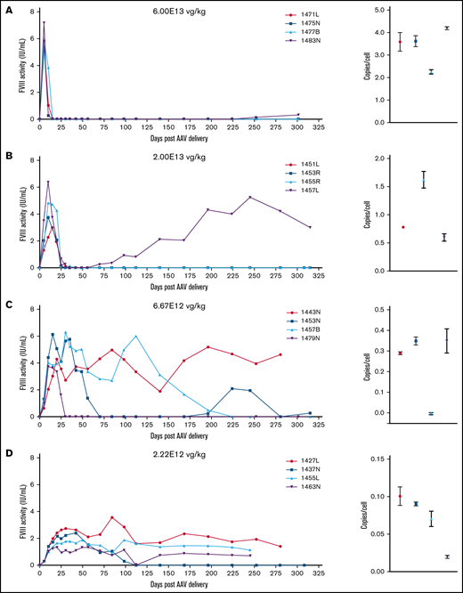 FVIII activity profiles and terminal VCN for individual animals administered an AAV-ET3 vector. Panels display FVIII activity over time and terminal VCN after administration of AAV-E06.TTR-ET3 (A-F) or AAV-HCB-ET3 (G-J). Each panel represents 1 vector/dose group, and each curve represents a single animal. Terminal VCN was quantified by qPCR on liver DNA. FVIII activity profiles for individual animals administered the AAV-HSQ vectors are shown in supplemental Figure 3.
