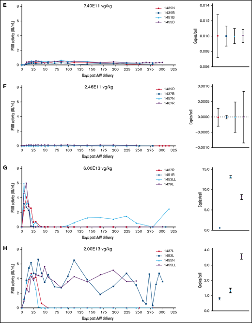 FVIII activity profiles and terminal VCN for individual animals administered an AAV-ET3 vector. Panels display FVIII activity over time and terminal VCN after administration of AAV-E06.TTR-ET3 (A-F) or AAV-HCB-ET3 (G-J). Each panel represents 1 vector/dose group, and each curve represents a single animal. Terminal VCN was quantified by qPCR on liver DNA. FVIII activity profiles for individual animals administered the AAV-HSQ vectors are shown in supplemental Figure 3.