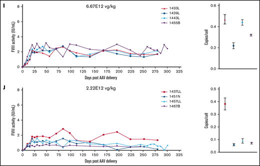 FVIII activity profiles and terminal VCN for individual animals administered an AAV-ET3 vector. Panels display FVIII activity over time and terminal VCN after administration of AAV-E06.TTR-ET3 (A-F) or AAV-HCB-ET3 (G-J). Each panel represents 1 vector/dose group, and each curve represents a single animal. Terminal VCN was quantified by qPCR on liver DNA. FVIII activity profiles for individual animals administered the AAV-HSQ vectors are shown in supplemental Figure 3.