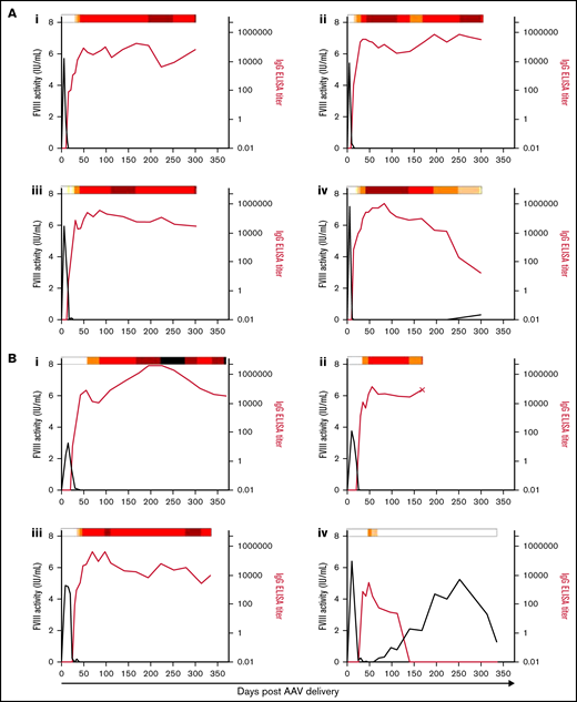 Anti-FVIII antibody response after AAV-FVIII delivery can be complex and multiphasic. The anti-FVIII IgG titers were measured by ELISA. IgG titers are indicated by the red curve and quantified on the right y axis. The corresponding FVIII activity levels are indicated by the black curve and quantified on the left y axis. Bethesda (inhibitor) titers (BU/mL) were measured for every sample with a detectable IgG titer and/or loss of detectable FVIII activity. BU/mL values are indicated by a heat map at the top of each graph. Samples below the limit of quantification for any antibody assay were given a working value of 0 in data analysis and graphical representation; however, the actual value could be somewhere between 0 and the limit of quantification. An X terminating the IgG titer curve denotes death of the animal at the designated time point. (A) 6E13vg/kg AAV-E06.TTR-ET3. Animal IDs: (i) 1471L, (ii) 1475N, (iii) 1477B, (iv) 1483N. (B) 2E13vg/kg AAV-E06.TTR-ET3. Animal IDs: (i) 1451L, (ii) 1453R, (iii) 1455R, (iv) 1457L. (C) 6.67E12vg/kg AAV-E06.TTR-ET3. Animal IDs: (i) 1453N, (ii) 1479N. (D) 2.22E12vg/kg AAV-E06.TTR-ET3, animal 1437N. (E) 6E13vg/kg AAV-HCB-ET3. Animal IDs: (i) 1437R, (ii) 1451R, (iii) 1453LL, (iv) 1479L. (F) 2E13vg/kg AAV-HCB-ET3. Animal IDs: (i) 1437L, (ii) 1455N. (G) 6E13vg/kg AAV-E06.TTR-HSQ. Animal IDs: (i) 1475B, (ii) 1481B, (iii) 1507R.