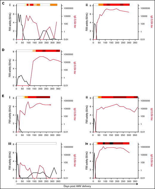 Anti-FVIII antibody response after AAV-FVIII delivery can be complex and multiphasic. The anti-FVIII IgG titers were measured by ELISA. IgG titers are indicated by the red curve and quantified on the right y axis. The corresponding FVIII activity levels are indicated by the black curve and quantified on the left y axis. Bethesda (inhibitor) titers (BU/mL) were measured for every sample with a detectable IgG titer and/or loss of detectable FVIII activity. BU/mL values are indicated by a heat map at the top of each graph. Samples below the limit of quantification for any antibody assay were given a working value of 0 in data analysis and graphical representation; however, the actual value could be somewhere between 0 and the limit of quantification. An X terminating the IgG titer curve denotes death of the animal at the designated time point. (A) 6E13vg/kg AAV-E06.TTR-ET3. Animal IDs: (i) 1471L, (ii) 1475N, (iii) 1477B, (iv) 1483N. (B) 2E13vg/kg AAV-E06.TTR-ET3. Animal IDs: (i) 1451L, (ii) 1453R, (iii) 1455R, (iv) 1457L. (C) 6.67E12vg/kg AAV-E06.TTR-ET3. Animal IDs: (i) 1453N, (ii) 1479N. (D) 2.22E12vg/kg AAV-E06.TTR-ET3, animal 1437N. (E) 6E13vg/kg AAV-HCB-ET3. Animal IDs: (i) 1437R, (ii) 1451R, (iii) 1453LL, (iv) 1479L. (F) 2E13vg/kg AAV-HCB-ET3. Animal IDs: (i) 1437L, (ii) 1455N. (G) 6E13vg/kg AAV-E06.TTR-HSQ. Animal IDs: (i) 1475B, (ii) 1481B, (iii) 1507R.