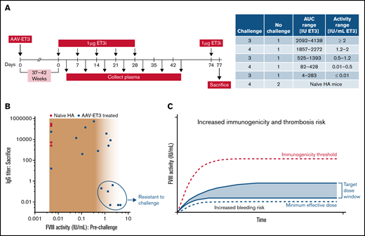 ET3i protein challenge in AAV-ET3–treated animals suggests a therapeutic window for AAV-FVIII treatment. (A) Animals treated with either AAV-E06.TTR-ET3 or AAV-HCB-ET3 that did not develop inhibitors by 37 to 42 weeks were challenged with 5 weekly infusions of 1 μg purified ET3i protein. Animals were ranked based on prechallenge FVIII activity, and 1 animal per rank group served as a no challenge control. Naïve hemophilia A animals were immunized alongside the gene therapy–treated animals. Plasma was collected 3 days after every injection and at weeks 6 and 7 after challenge initiation. An additional 1ug ET3i was administered 3 days before sacrifice. (B) Steady-state FVIII activity before ET3i challenge vs. the IgG titer at time of sacrifice in ET3i-challenged animals. The following animals were resistant to challenge: 1433L, 1437LL, 1443N, 1443L, 1455LL, and 1463N. (C) Target AAV-FVIII dose window based on initial FVIII exposure kinetics and steady-state levels relative to thresholds for therapeutic efficacy and immunogenicity to mitigate the risks associated with FVIII levels significantly outside of the normal range. The “minimum effective dose” indicates the minimum dose at which durable and therapeutic steady-state FVIII levels are expected. The “immunogenicity threshold” is determined from the pharmacokinetic model described herein.