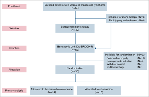 CONSORT diagram. Patients first received bortezomib as monotherapy in a window for 21 days, except for those with rapidly progressive disease, who proceeded directly to induction therapy. Patients who responded to induction and did not have significant peripheral neuropathy were randomly assigned to bortezomib maintenance or initial observation. DA-EPOCH-R, dose-adjusted etoposide, doxorubicin, and cyclophosphamide with prednisone, vincristine, and rituximab; CNS, central nervous system.
