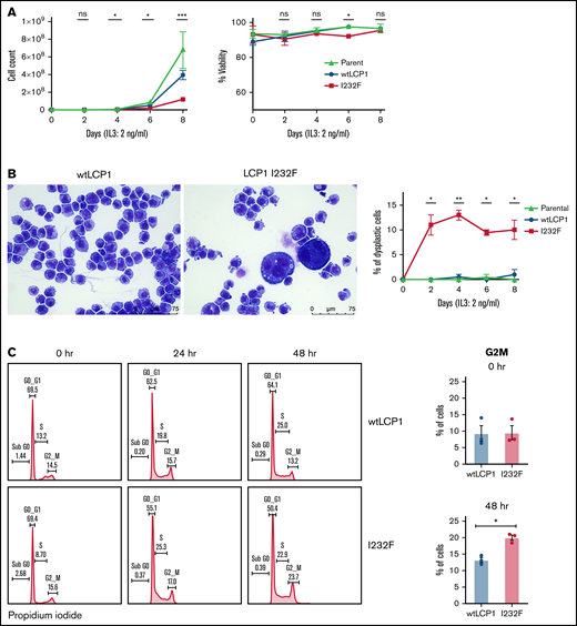 Effect of overexpression of LCP1 I232F in 32D cell proliferation. (A) 32D cells expressing LCP1 I232F display impaired cell proliferation with unchanged viability upon proliferation with murine IL-3–containing media (2 ng/mL). (B) Images, obtained at ×40 magnification using a Leica DM6B upright microscope, show that LCP1 I232F-expressing cells have granulocytic dysplasia with the appearance of large multinucleated cells. (C) The cell cycle analysis for 32D cells harvested at indicated time points using DNA staining with propidium iodide followed by flow cytometric analysis (left) shows arrest of cell cycle at G2M Phase in LCP1 I232F-expressing cells (right). Data are shown as mean ± standard error of mean (results of n = 3 biological replicates unless otherwise specified). Statistical analysis was assessed by Student t test. *P < .05, **P < .01, ***P < .001, ****P < .0001. ns, not significant.