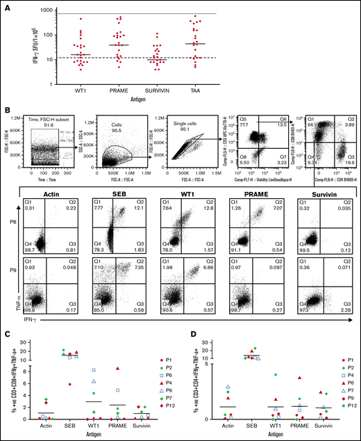 Antigen specificity as measured by anti-IFNγ ELISpot, TNFα and IFNγ intracellular cytokine staining, and cytolytic function of the TAA-T products. (A) Target antigen specificity of the TAA-T product (n = 25) as determined by IFNγ production, measured by ELISpot. Target antigens were WT1, PRAME, survivin, and TAA (WT1, PRAME, and survivin pepmixes combined). The bottom dotted line denotes the median for negative control (actin = 12 SFU), the top dotted line denotes the median for positive control (SEB = 732 SFU). Mean antigen responses were statistically significantly different from actin for WT1 (P = .0469), PRAME (P = .0001), and TAA (P < .0001) but not for survivin (P = .7028). (B) TNFα and IFNγ intracellular cytokine staining (ICS) demonstrates antigen specificity for WT1 and PRAME shown for products (P6, P9). Antigen specificity measured by TNFα and IFNγ ICS of CD8+ T cells (C) and CD4+ T cells (D) of the TAA-T-cell product in evaluable samples (n = 7). SEB is used as the positive control and actin as negative control. (E) In vitro cytolytic activity of the HLA A*02+ TAA-T product against an HLA A*02+ AML cell line (THP-1) as compared with a donor lymphocyte infusion (donor PBMCs) product. (F) Superior cytolytic activity against THP-1 Violet+ CD33+ cells of the TAA-T product as compared with donor lymphocyte infusion (PBMC) is reproducible in the majority of A*02+ donor TAA-T products evaluated (as shown for P2, P6, P12). SEB, staphylococcal enterotoxin B.