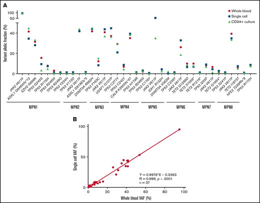 Comparison of VAF determined by sequencing using the 3 techniques: whole blood NGS, CD34+ cell culture NGS, and single-cell sequencing. (A) Plot showing VAFs of the indicated mutants in whole-blood (red circle), single-cell (blue square), or CD34+-cultured cells without treatment (green triangle). (B) Correlation between single-cell sequencing and whole blood NGS on 37 variants described in supplemental Table 1. VAF, variant allelic fraction.
