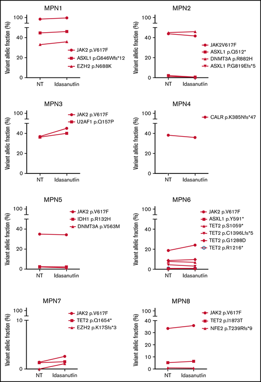 Absence of variation of non-TP53 mutations in HSPC of TP53-mutated MPN patients upon MDM2 inhibitor treatment. Comparison of VAFs for mutations found in other genes in CD34+ cells of the same MPN patients. **P < .01 using a Student t test for statistical comparison. NT, not treated.