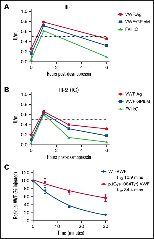Clearance kinetics of p.(Cys1084Tyr)-VWF. Time course of the postdesmopressin response in siblings III-1 (A) and III-2 (B). Markedly reduced VWF:Ag, VWF:GPIbM and FVIII:C half-lives were observed following the 1-hour peak. The dashed line represents normalized VWF:Ag, VWF:GPIbM and FVIII:C plasma levels (0.5 IU/mL). (C) The influence of p.(Cys1084Tyr) on VWF clearance in a mouse model of VWD. Prolonged survival of p.(Cys1084Tyr)-VWF was observed. Data were fitted to a 1-phase exponential decay (n = 3 mice per time point).