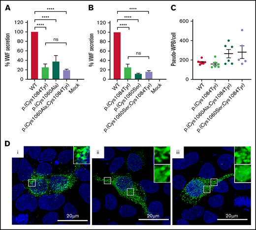 Altered disulfide connectivity because of loss of the p.(Cys1060)-p.(Cys1084) disulfide bond causes reduced VWF secretion. (A) Transient transfection of HEK293 cells with the expression vector encoding p.(Cys1060Ala) caused a significant reduction in VWF secretion. Transfection of cells with the expression vector coding for the p.(Cys1060Ala;Cys1084Tyr) double variant did not rescue VWF secretion. (B) Similar results were observed for p.(Cys1060Ser) and the p.(Cys1060Ser;Cys1084Tyr) double variant. Data are represented as mean ± SEM, ****P < .0001. (C) Three-dimensional quantification of the number of pseudo-WPB/cell revealed no significant difference in the number of storage organelles formed/cell by each variant. (D) Immunofluorescent imaging of WT-VWF (i), p.(Cys1060Ala;Cys1084Tyr) (ii), and p.(Cys1060Ser;Cys1084Tyr) (iii). VWF is depicted in green, and blue represents 4′,6-diamidino-2-phenylindole. Elongated rod-shaped WPBs are shown (inset, top). Areas of diffuse VWF staining for p.(Cys1060Ala;Cys1084Tyr) and p.(Cys1060Ser;Cys1084Tyr) indicating impaired regulated storage are also shown (inset, bottom). Images are representative of n = 3 independent experiments.